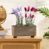 Skrzynka na kwiaty Salvia texelle taupe 28,5x17cm * HowHomely Best