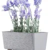 Skrzynka na kwiaty Salvia texelle szara 28,5x17cm * HowHomely Sale