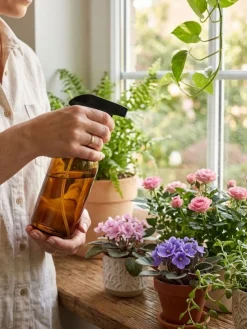 Szklana butelka 500 ml ze spryskiwaczem bursztynowa * BERILO