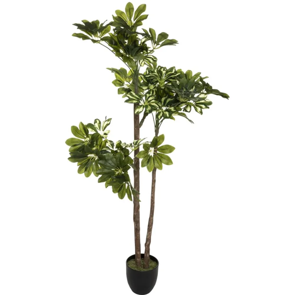 Sztuczna Szeflera w doniczce 135 cm * Atmosphera Outlet