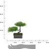 Sztuczne drzewko Bonsai 3