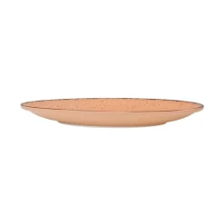 Talerz obiadowy 27 cm Terra Salmon