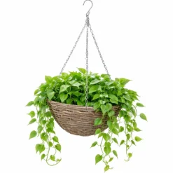Wiszący kosz na kwiaty z wikliny 30 cm * Esschert Design Hot