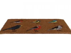 Wycieraczka kokosowa z motywem kolorowych ptaków 75 x 45 cm * Esschert Design Online