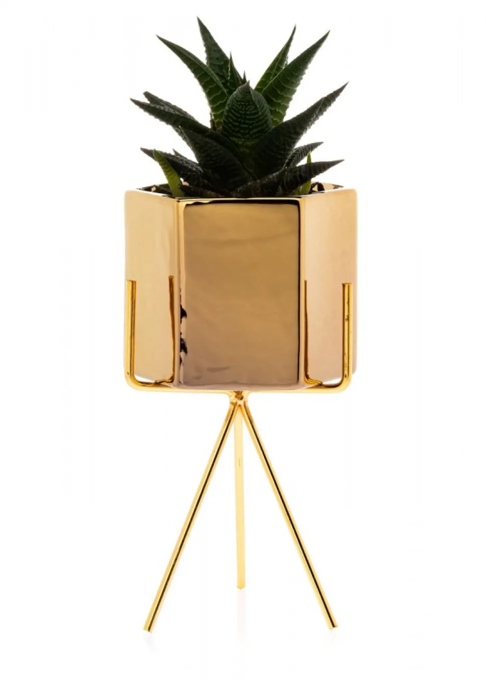 Zestaw 3 doniczek Sashi Gold