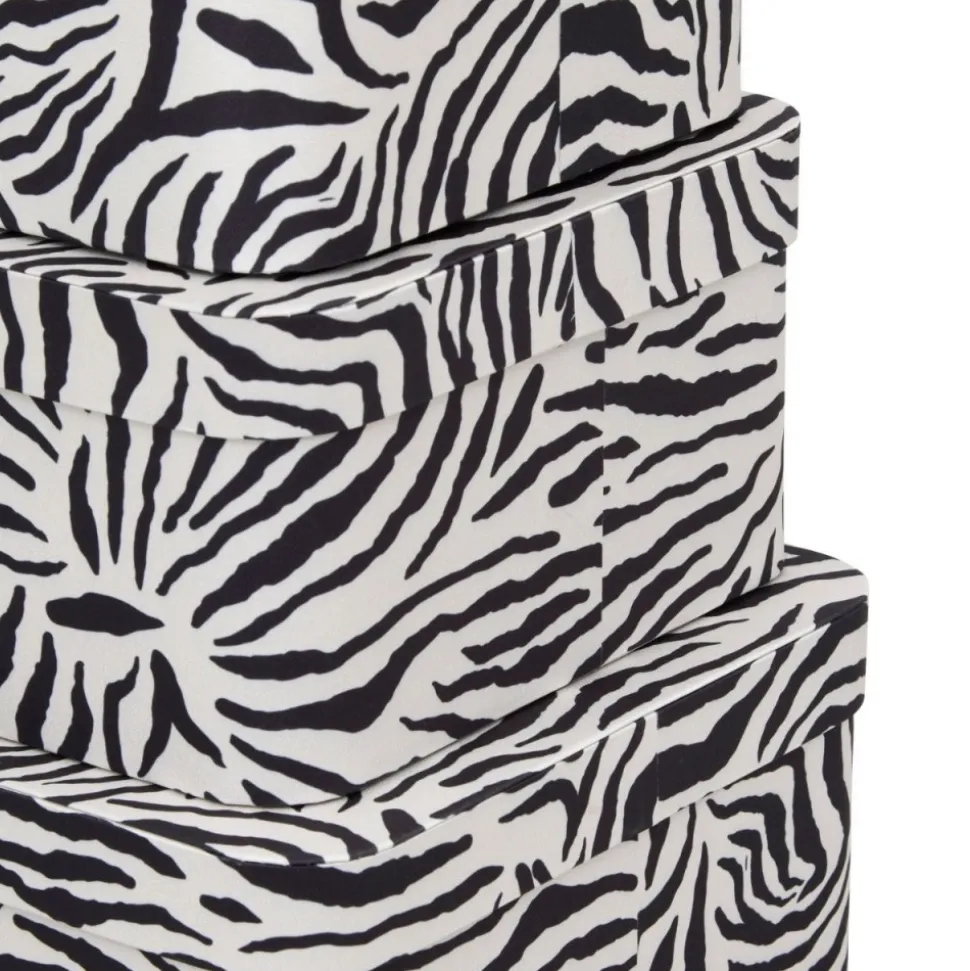 Zestaw 4 kartonowych pudełek Zebra
