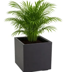 Zestaw donic na kółkach Betonique 40 cm recykling czarny 2 szt