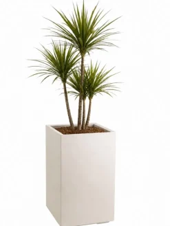 Zestaw donic na kółkach Betonique 40 cm beton beż 2 szt