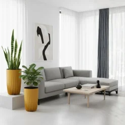 Zestaw donic Stripped Wysokie musztardowe 2 szt