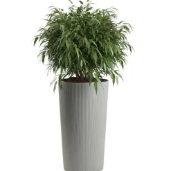 Zestaw donic URBANIKA ECO wood szary 3 szt