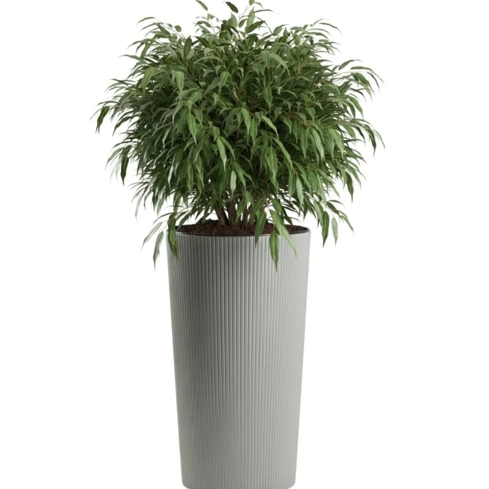 Zestaw donic URBANIKA ECO wood szary 3 szt