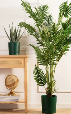 Zestaw donic z podstawką Azalea recykling awokado
