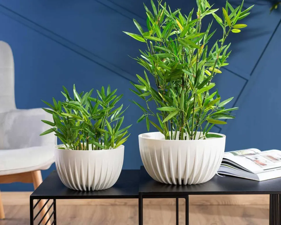 Zestaw doniczek Stripped Eco recykling białe