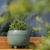 Zestaw donic na nóżkach botanica szarozielone * HowHomely Sale
