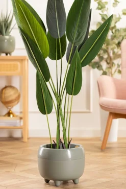 Zestaw donic na nóżkach botanica szarozielone * HowHomely Sale