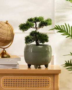 Zestaw donic na nóżkach botanica szarozielone * HowHomely Sale