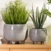 Zestaw donic na nóżkach botanica szare * HowHomely Discount