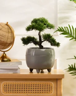 Zestaw donic na nóżkach botanica szare * HowHomely Discount