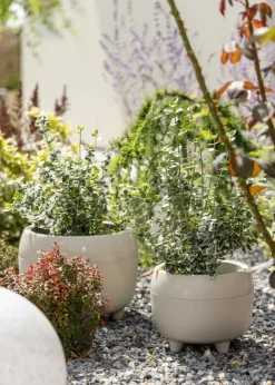 Zestaw donic na nóżkach botanica beżowe * HowHomely Clearance