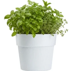 Zestaw donic SILVA LINE recykling białe 4 szt * HowHomely Hot