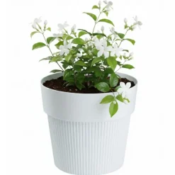 Zestaw donic SILVA LINE recykling białe 4 szt * HowHomely Hot
