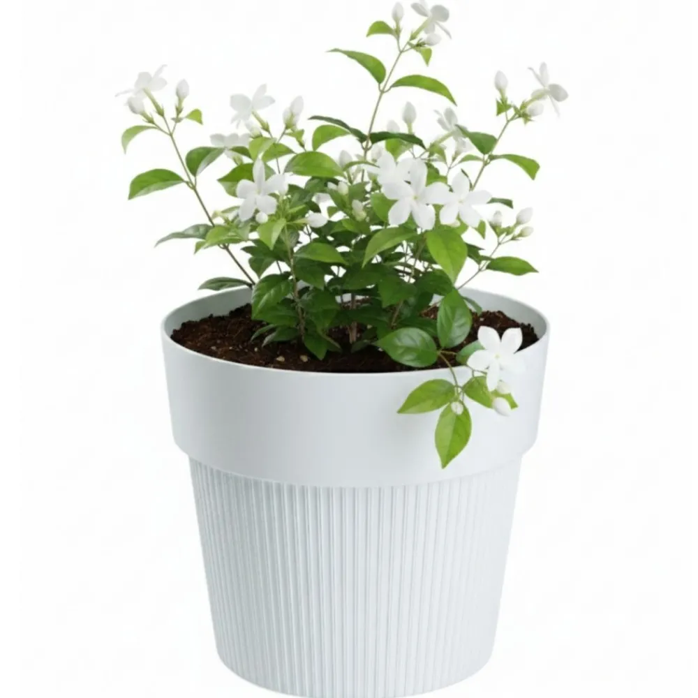 Zestaw donic SILVA LINE recykling białe 4 szt * HowHomely Hot