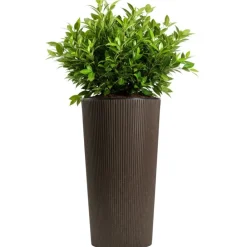 Zestaw donic URBANIKA coffee espresso 3 szt * HowHomely Clearance