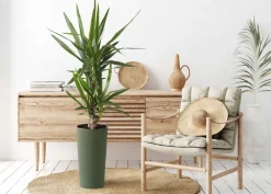 Zestaw donic Urbanika ECO Wood Zielone 2 szt * HowHomely Online
