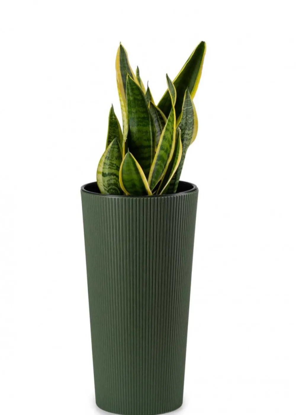 Zestaw donic Urbanika ECO Wood Zielone 2 szt * HowHomely Online