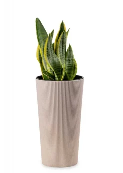 Zestaw donic Urbanika ECO Wood Białe 2 szt * HowHomely New