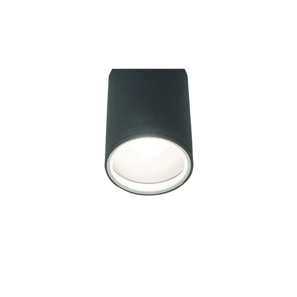 Zewnętrzna Lampa Sufitowa FOG Czarny 1xE27 IP44