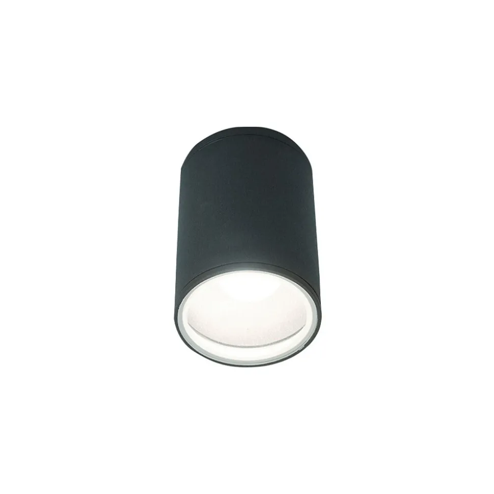 Zewnętrzna Lampa Sufitowa FOG Czarny 1xE27 IP44